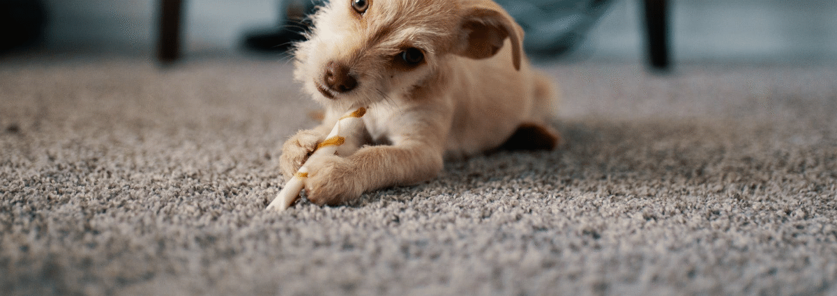 Carpets