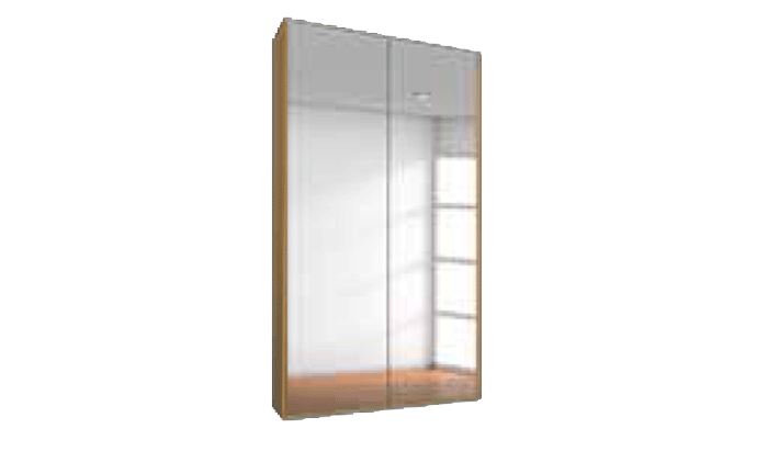 2 Door Mirroed Robe