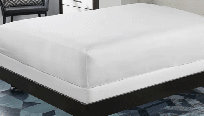 Double Mattress Protector