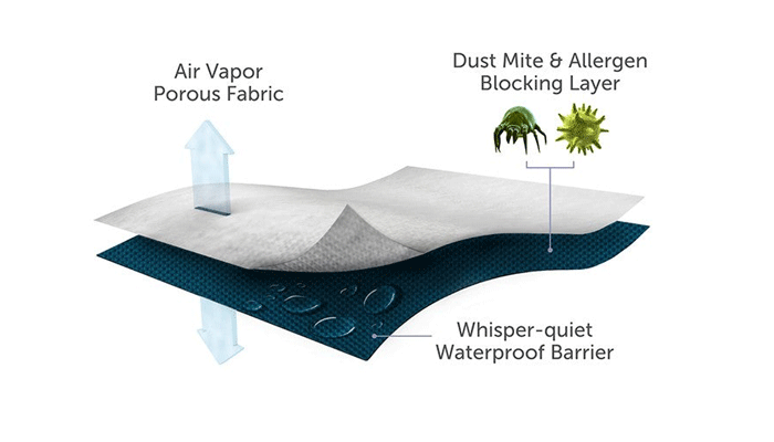 Single Mattress Protector